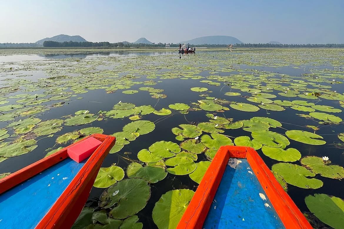 Kondakarla Ava lake and bird sanctuary near Anakapalli