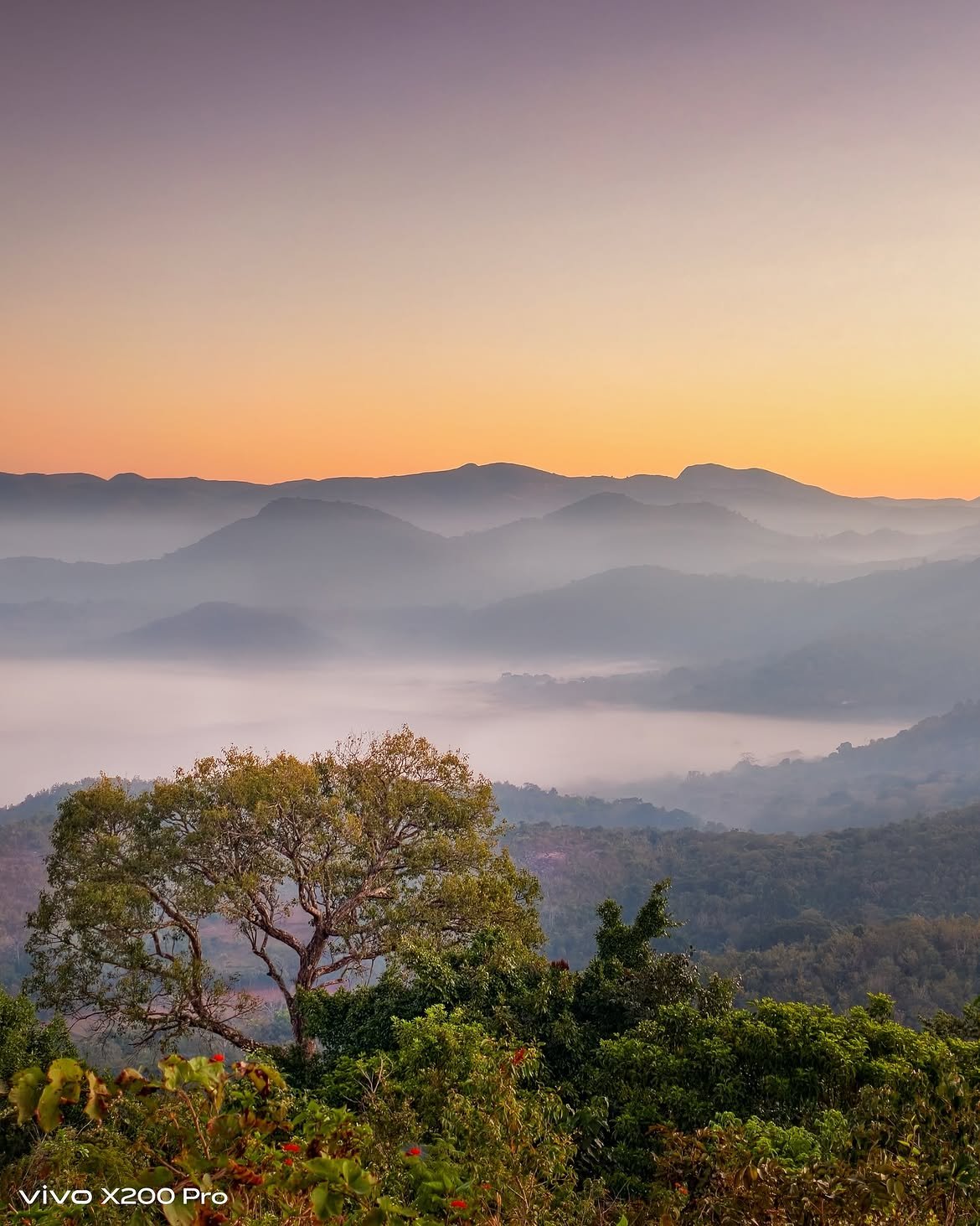 Misty morning at Lambasingi, Andhra Pradesh